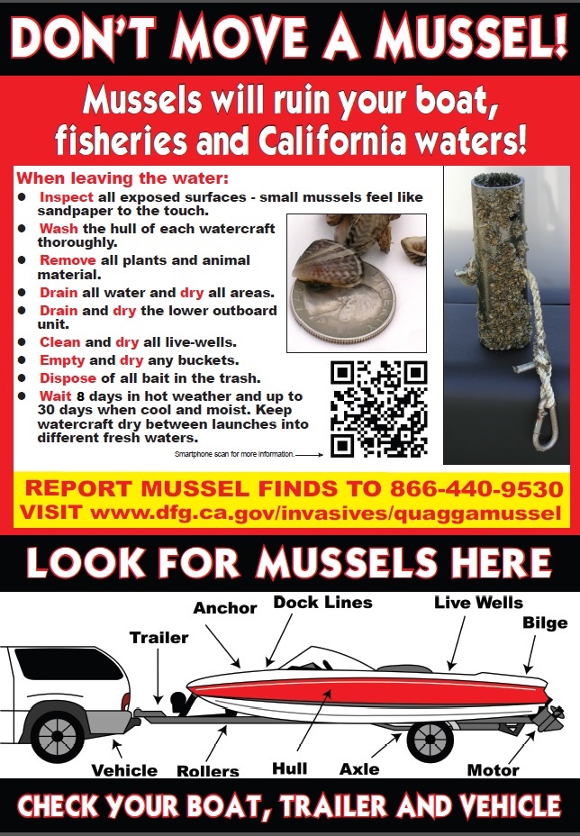 Quagga Inspection Flyer