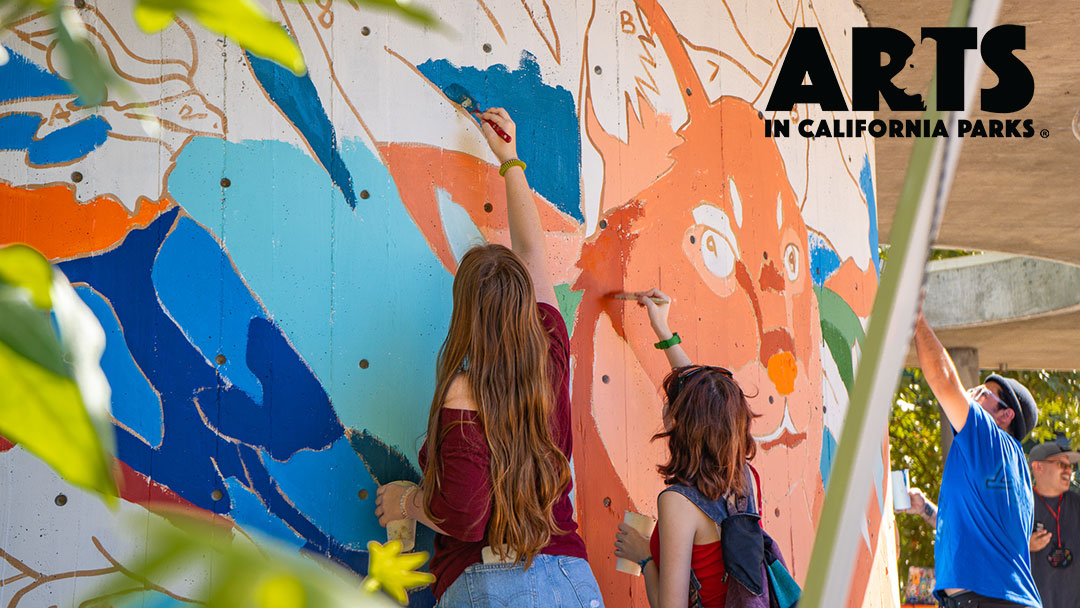 Visitors reaching high to paint the mural’s bobcat at Silverwood Lake State Recreation Area. Photo by California State Parks.