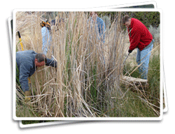 Spring Box Installations Spring Box Repair & Wildlife Monitoring (Hungry Valley SVRA)