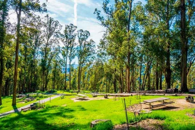 Campsite