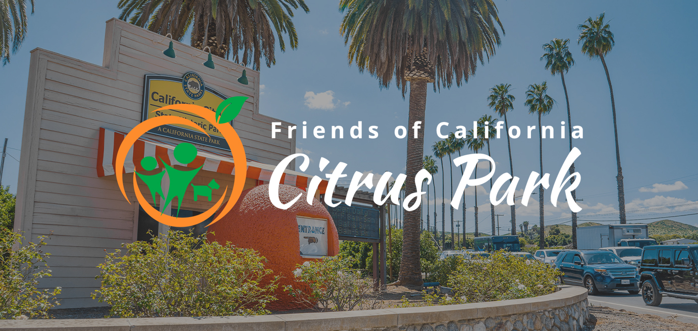 CA Citrus Park Form