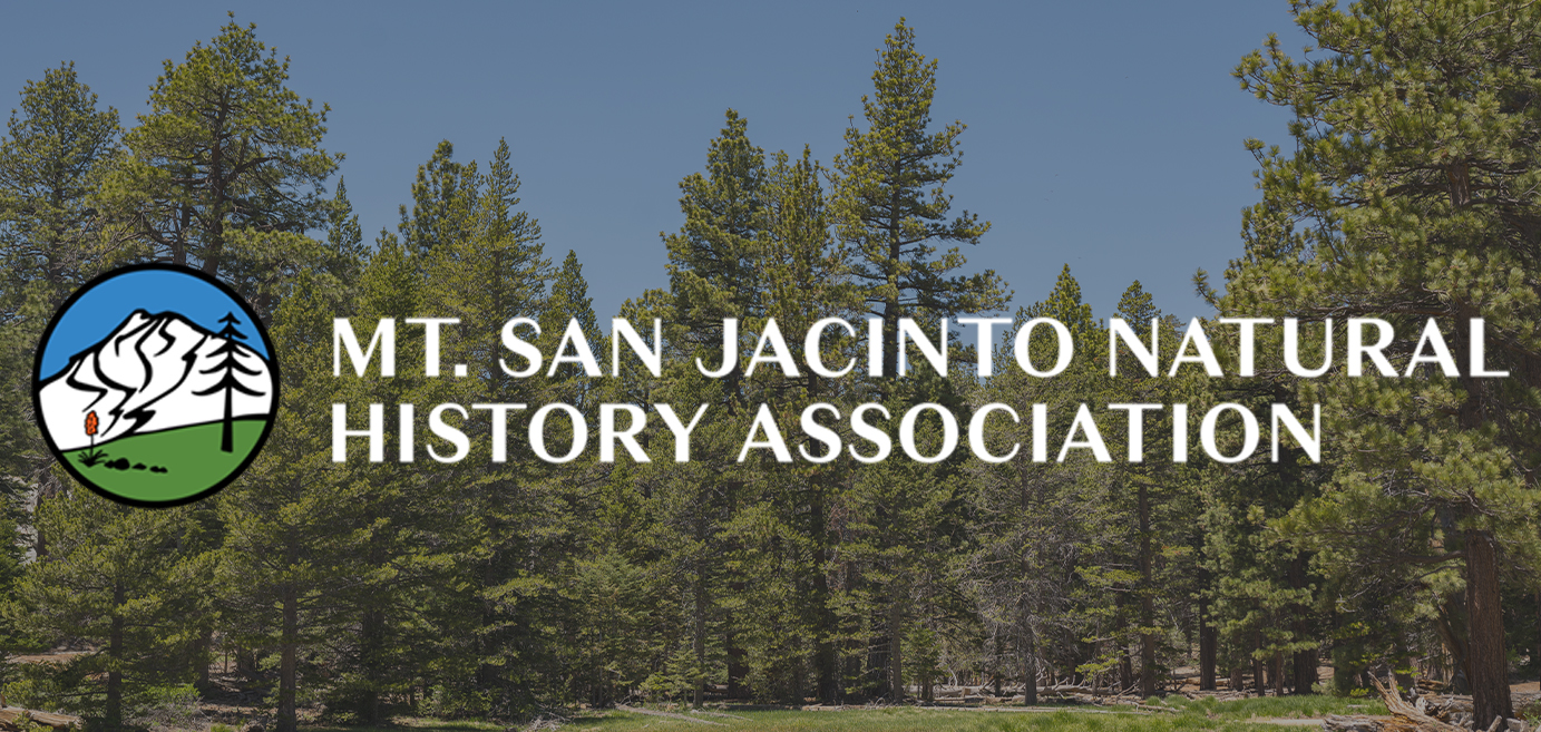 Mount San Jacinto NHA Form