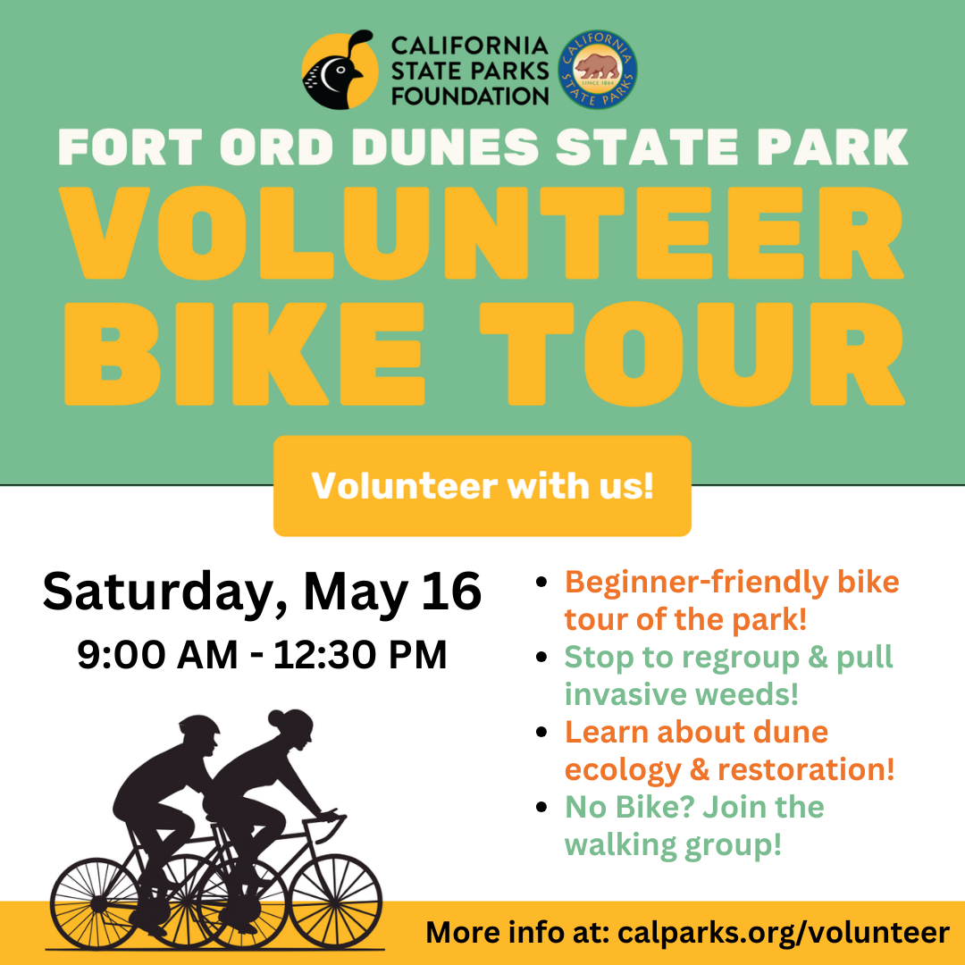 Celebrate National Bike Month and help protect and preserve sensetive habitat in the park! In May, we will take a bike tour around Fort Ord Dunes State Park's many paved trails, stopping to remove invasive vegetation as we go. The route is approximately 5 miles on a paved bike path. All types of bicycles, e-bikes, or non-motorized active transportation (skateboards, scooters, etc.) are welcome to join. All ages are welcome (minors must be accompanied by an adult). Helmets are required!  No Bike? No problem! Join the walking volunteer group for a parallel volunteer experience!