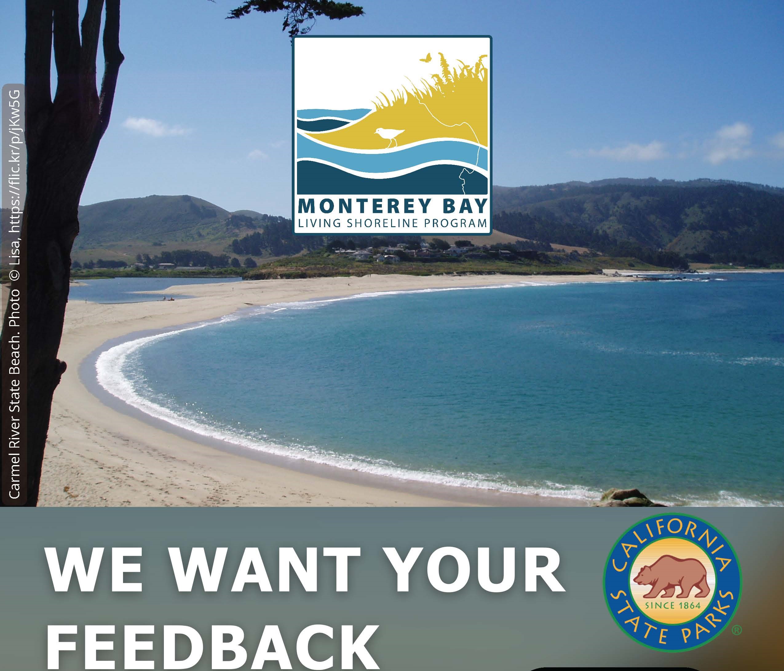 Monterey Bay Living Shoreline