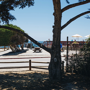 beach access