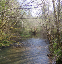Mill Creek