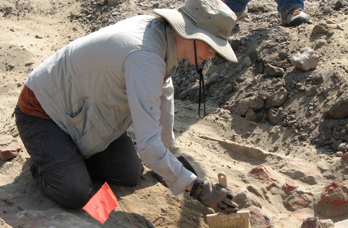 dig