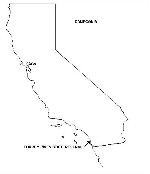 Image of site map