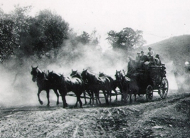 Coloma Gold Rush