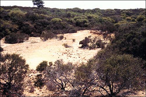 Image of site overview