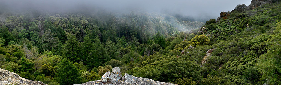 Castle Rock SP