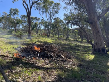 Prescribed Burn