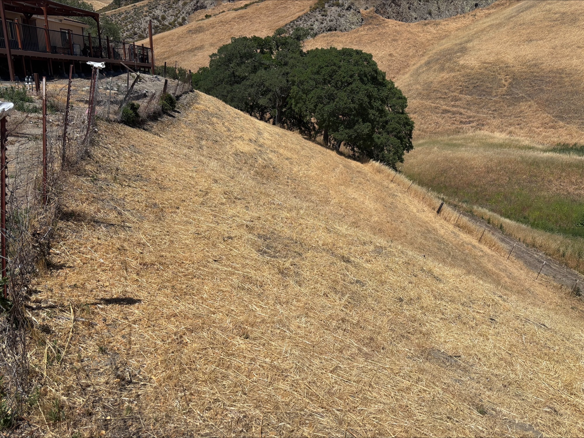 Completed defensible space work at Carnegie SVRA
