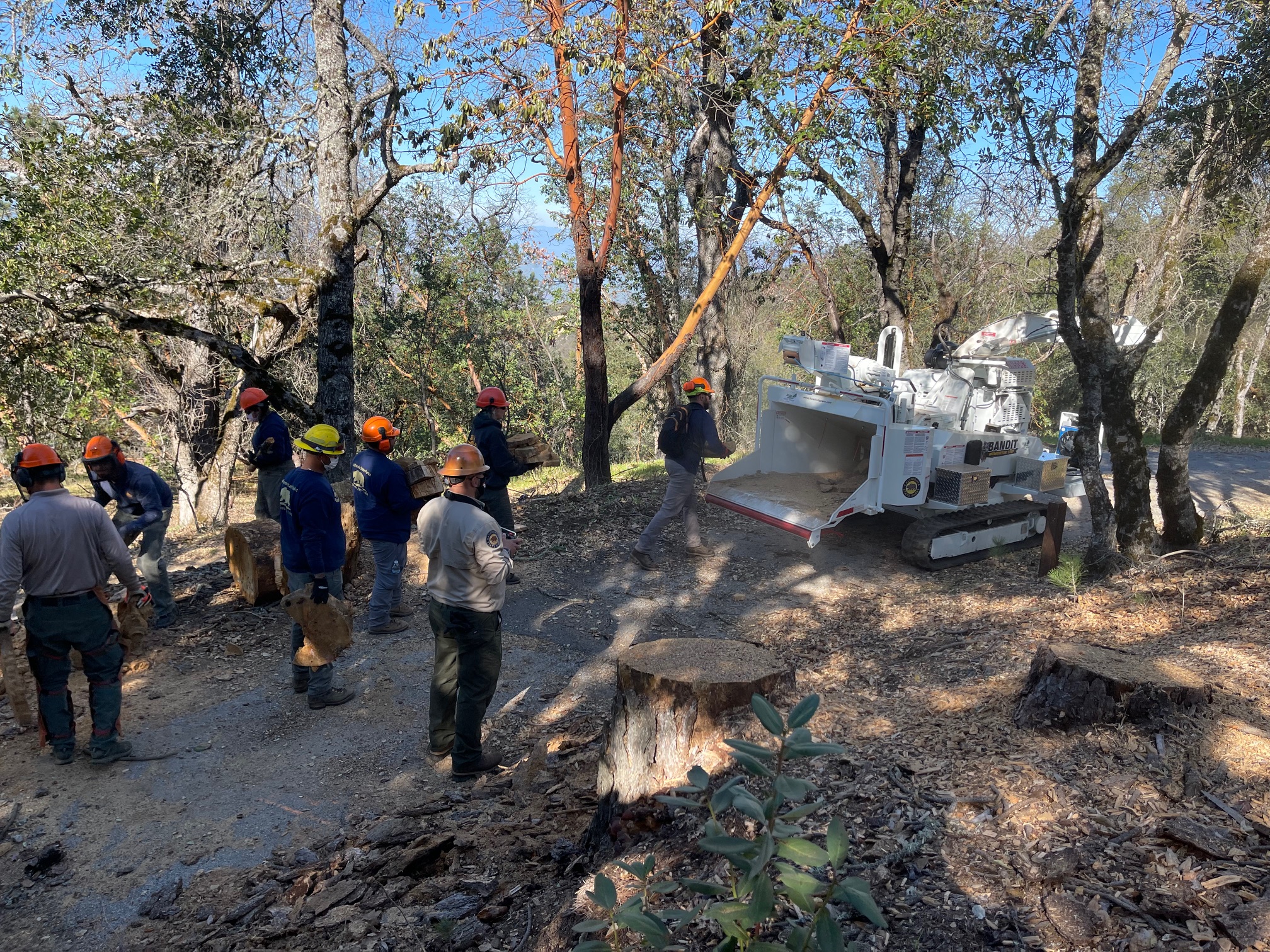 Staff wood chipping at Fremont Peak