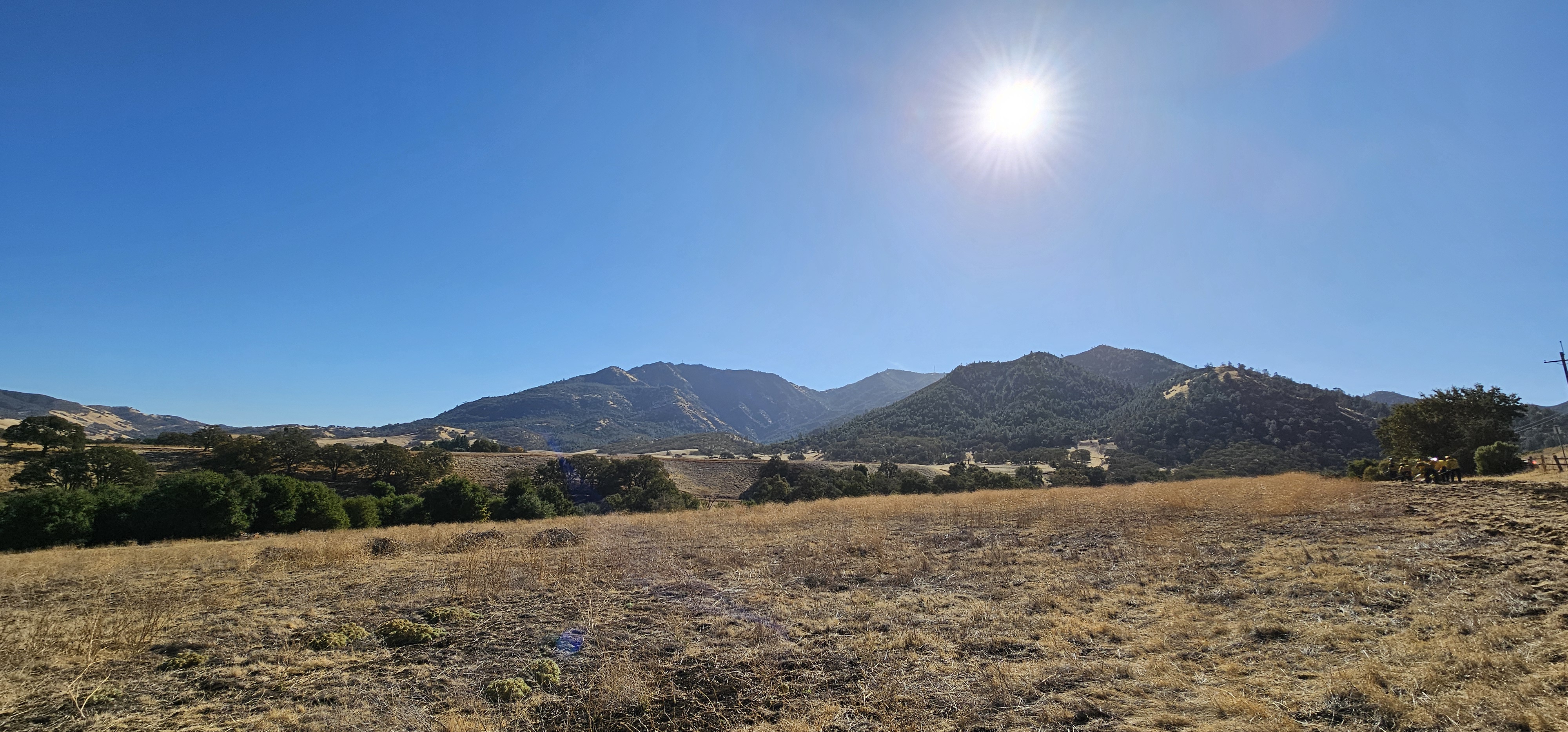 A mowed field at Mount Diablo State Park
