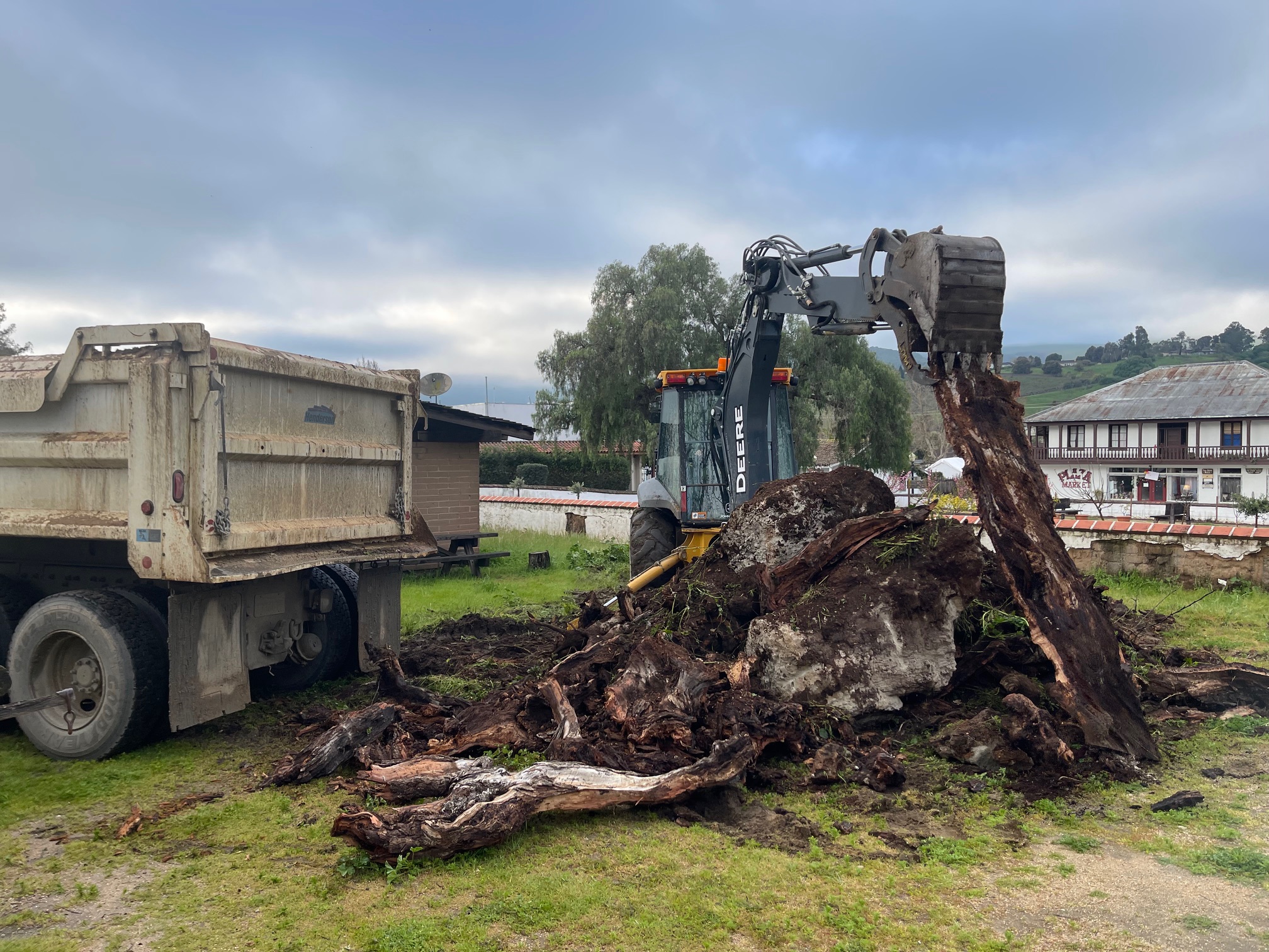 Tree removal at San Juan Bautista SHP