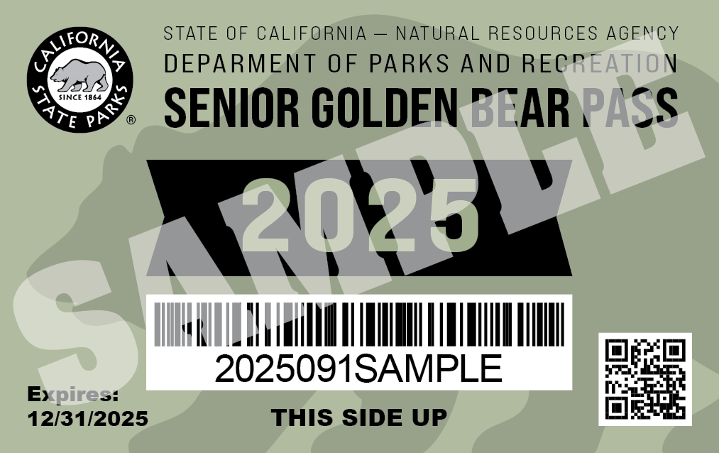 A Senior Golden Bear Pass