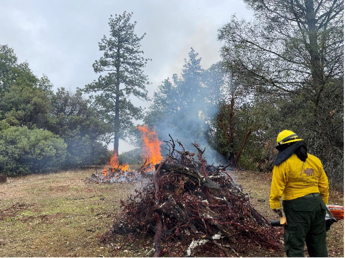 Burn piles at Henry Coe