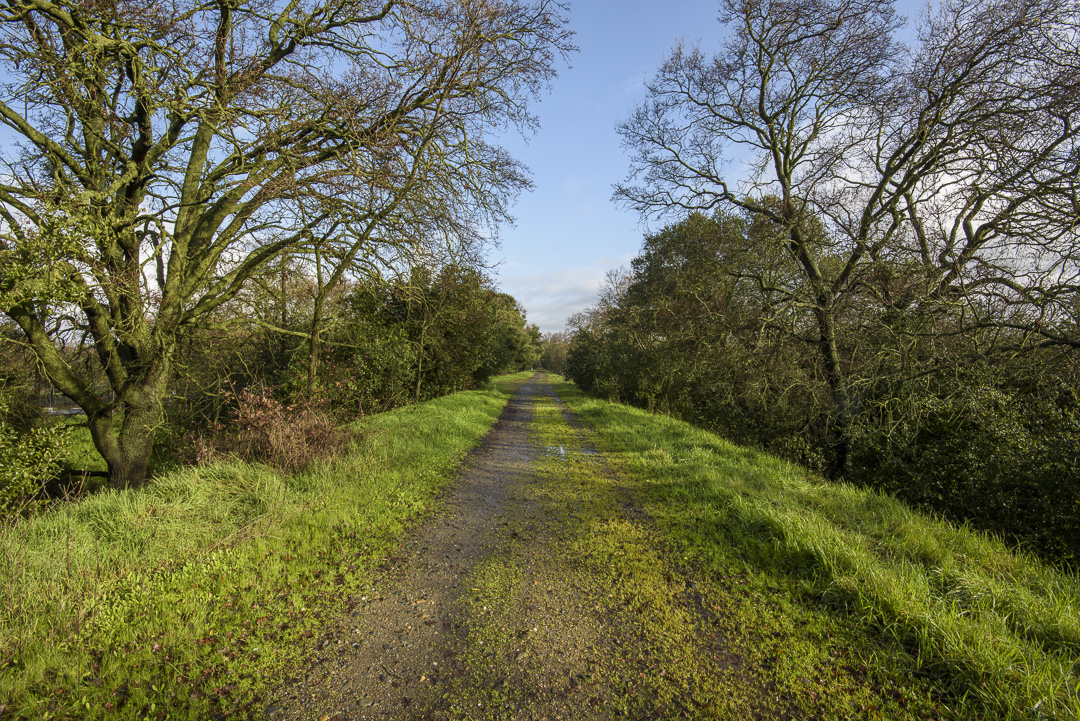 A trail at Delta Meadows
