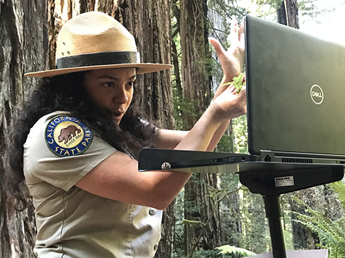 Parks Interpretive Positions