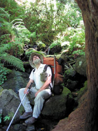 Hiker and Tree