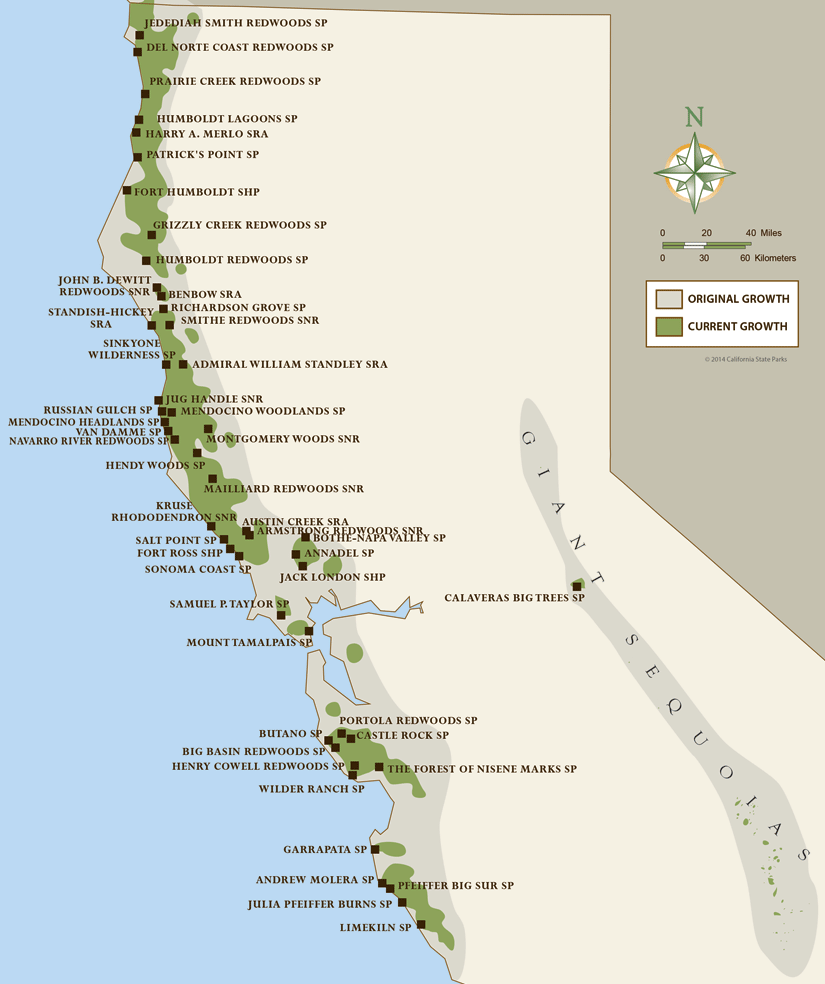 redwood forest california map California Coastal Redwood Parks redwood forest california map