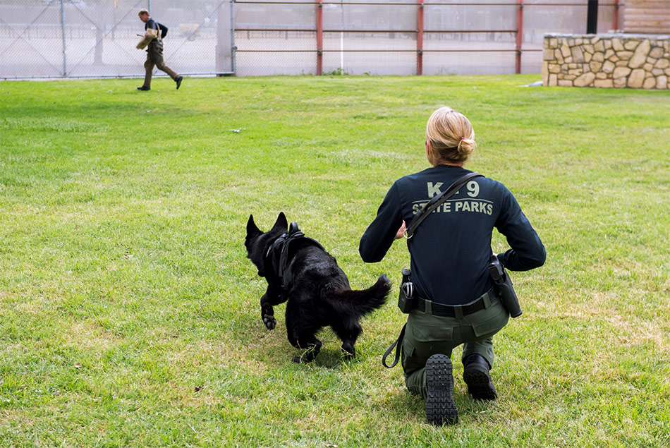 50th Anniversary of K9 Program