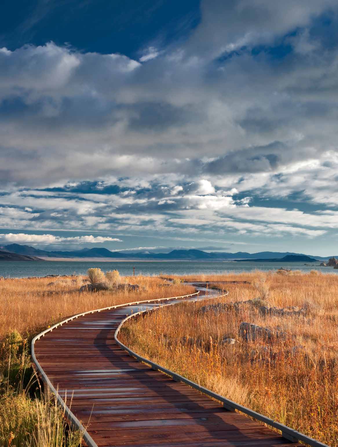 Wooden boardwalk through wetlands at Mono Lake Tufa State Natural Reserve