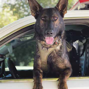 DPR K-9