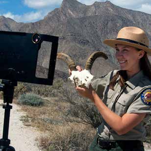 Park ranger interpreting a bighorn sheep skull in front of a camera
