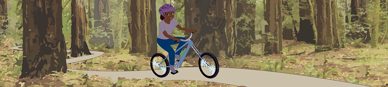 Place Holder e-bike banner