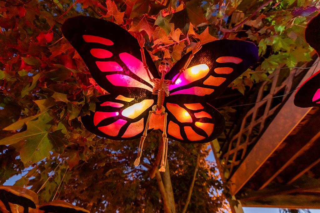 Skeleton figures with bright butterfly wings hang from tree branches.