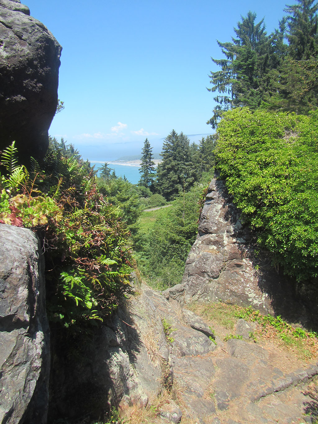 Patrick S Point Sp