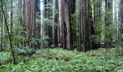 Closing of 220 California State Parks would be staggering blow to RVers, campers, hikers, local economies