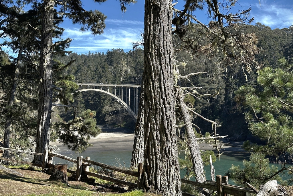 Russian Gulch SP Picnic Area