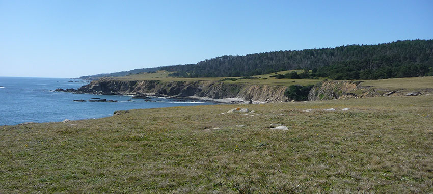 Ft. Ross SHP Bluffs