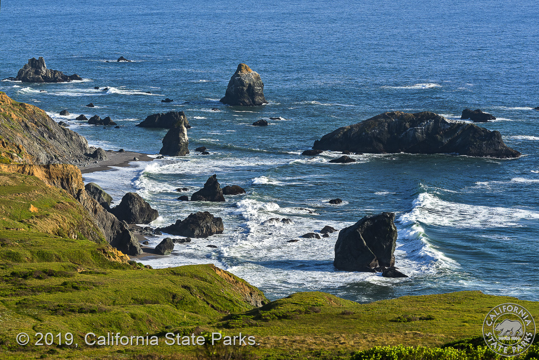 Sonoma Coast State Beach