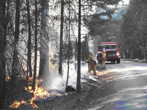 Figure 4. In some cases it was necessary to keep fire out of old-growth pines, oaks and large dead trees. Figure 4. In some cases it was necessary to keep fire out of old-growth pines, oaks and large dead trees.
