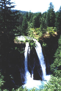 A view of the falls from across the ravine A view of the falls from across the ravine