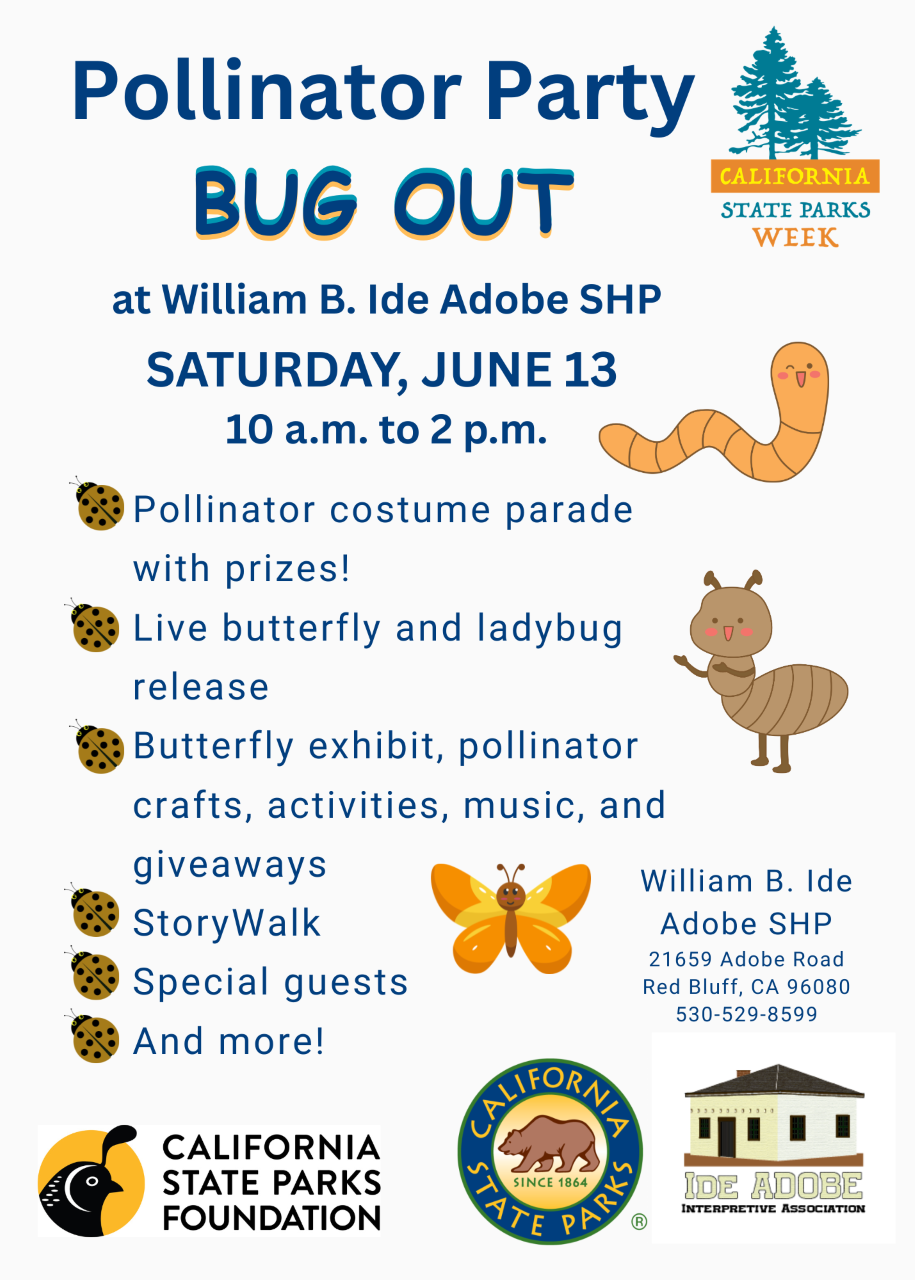 Pollinator Party: Bug Out! flyer Pollinator Party: Bug Out! flyer