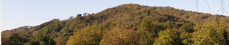 Mountain and oak woodlands at Olompali SHP Mountain and oak woodlands at Olompali SHP
