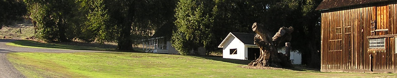 Barn at Olompali SHP Barn at Olompali SHP