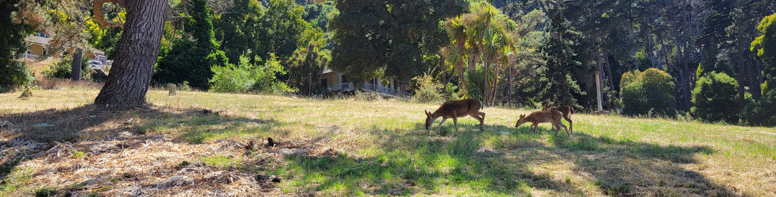 Angel Island State Park