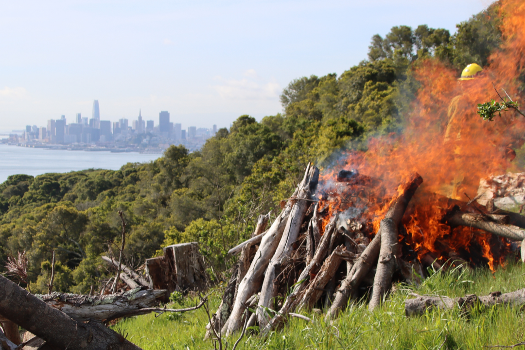 Pile Burn on Angel Island Pile Burning along hillside with San Francisco in Background
