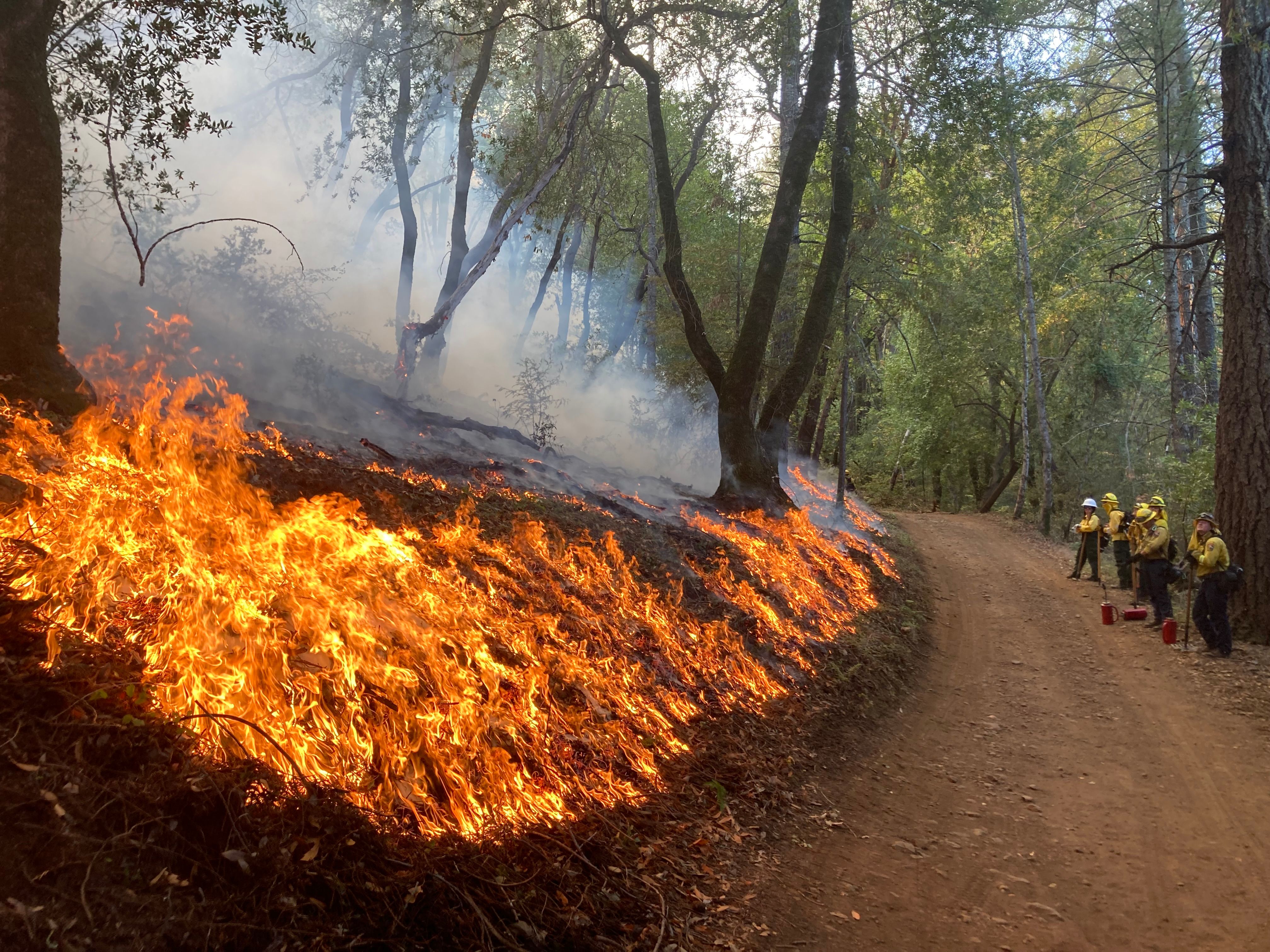 Prescribed Burn Along Mountain Trail Prescribed Burn Along Mountain Trail