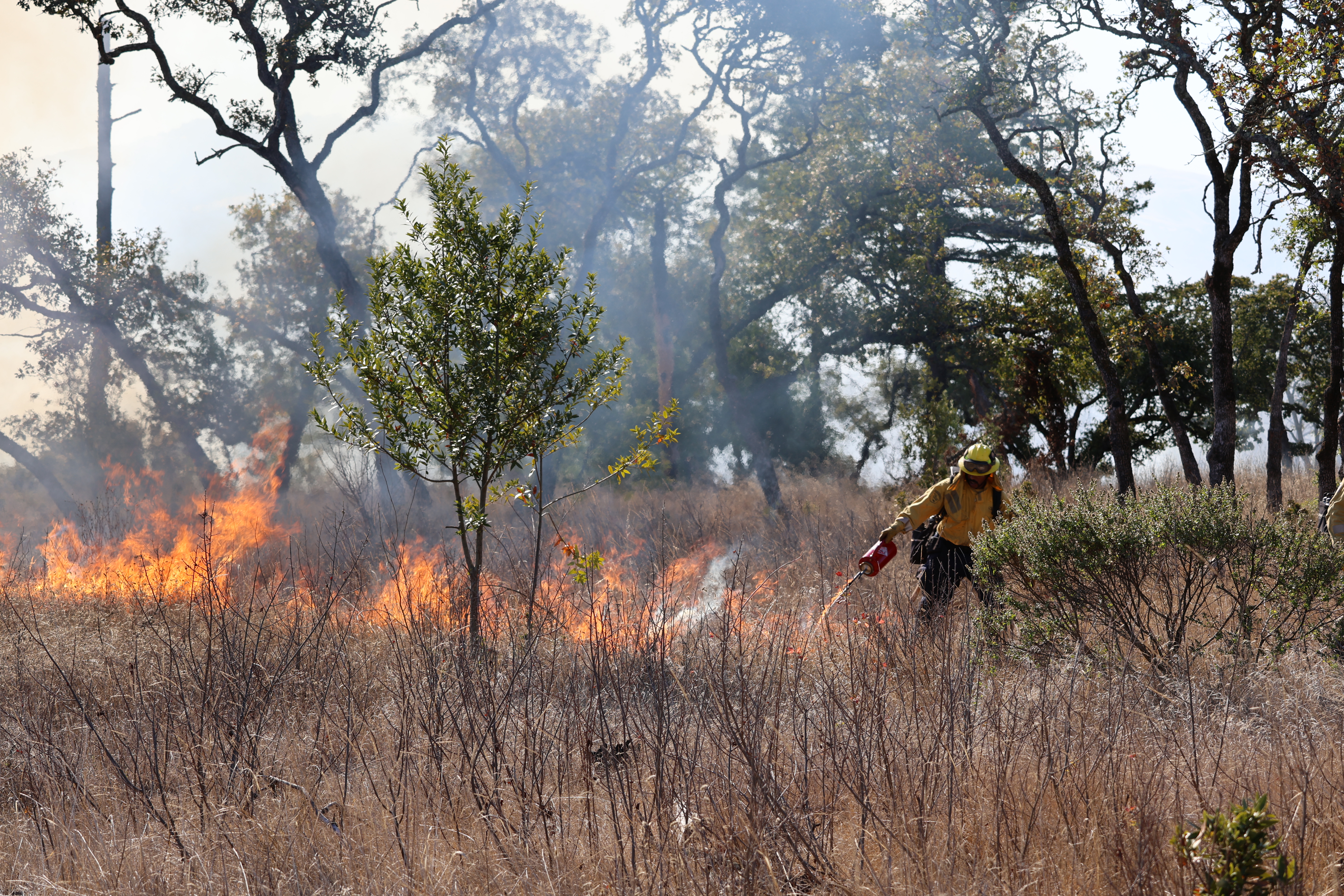 Ignitions During 2024 Marsh Trail Burn