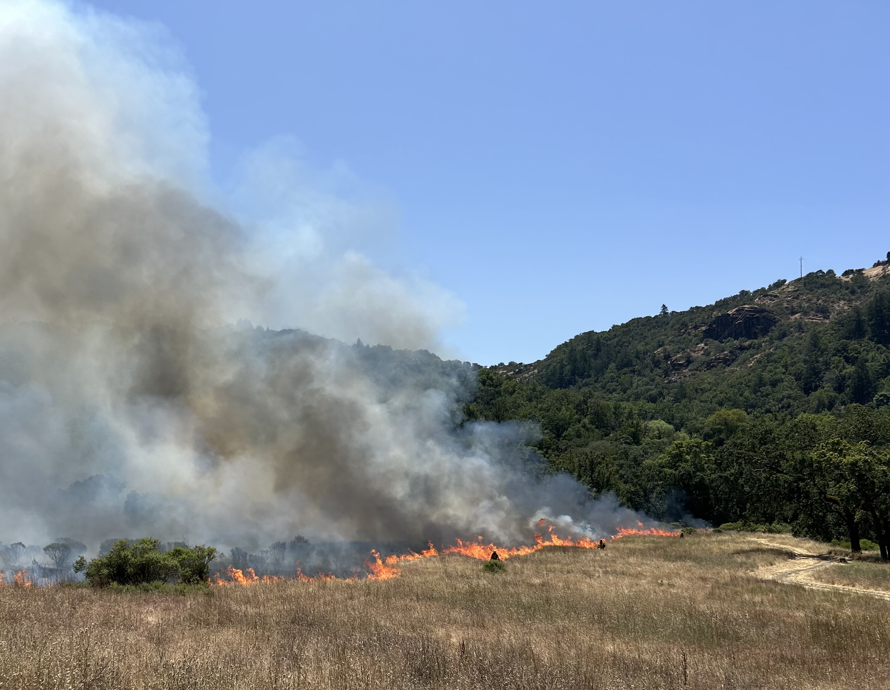 Grassland Prescribed Burn Ignitions 