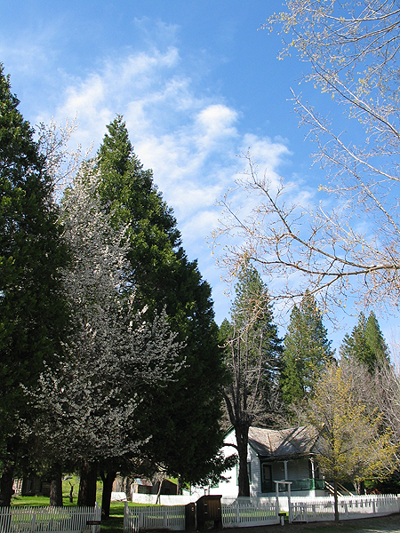 Image from Malakoff Diggins SHP