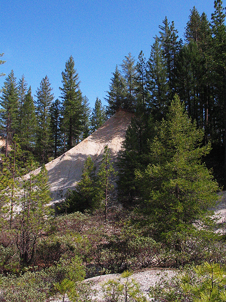 Image from Malakoff Diggins SHP