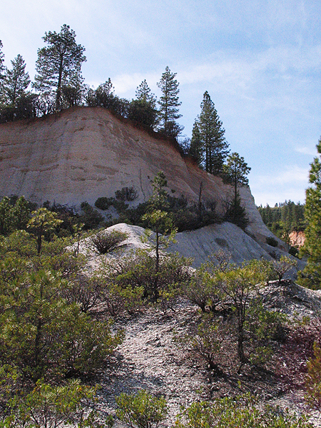 Image from Malakoff Diggins SHP